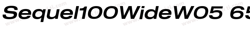 Sequel100WideW05 65 Regular字体转换